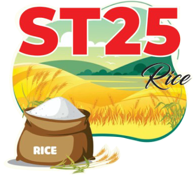 Vn St 25 rice